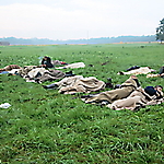 150th anniversary of Battle of Gettysburg_25